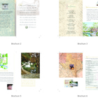 brochure thumbnail