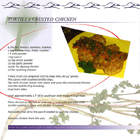 cookbook thumbnail